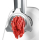 BOSCH MFW2510W - 544310 - zdjęcie 4
